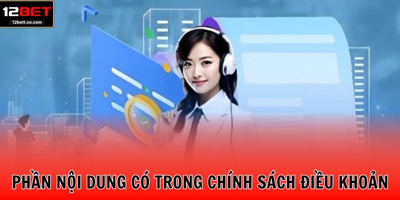 Phần nội dung có trong chính sách điều khoản